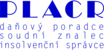 Primary Raster logo